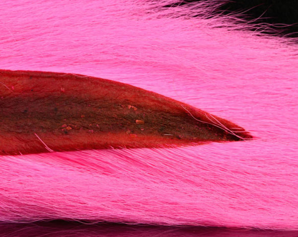Hot pink select bucktail
