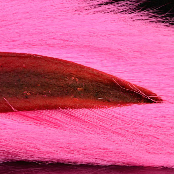 Fluorescent Hot Pink Bucktail