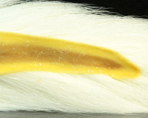 Fluorescent White Select Bucktail