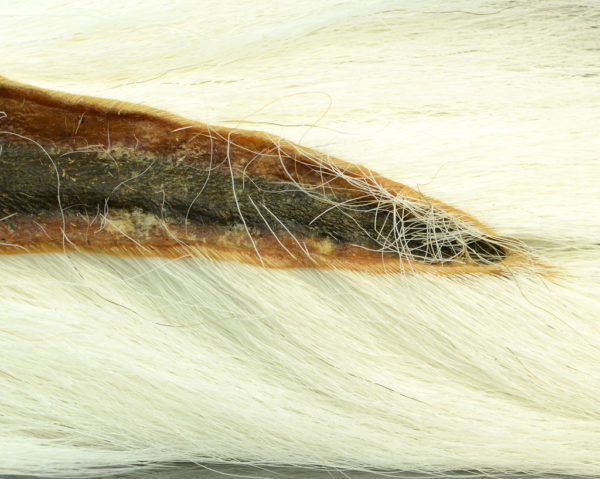 Premium Select Bucktail Natural