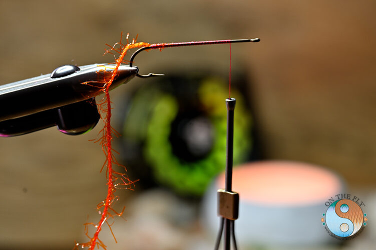 Next tie in the Ice straggle in Hot Orange for the body on the Bootlegger Thunder Creek Minnow