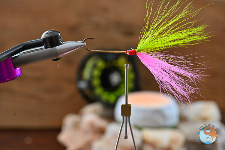 Next tied in the Chartreuse Bucktail and wrap thread to back of head.