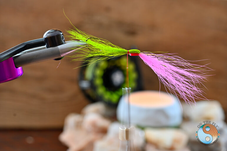 Now fold back the Chartreuse Bucktail and tied into place. Saltwater on the fly