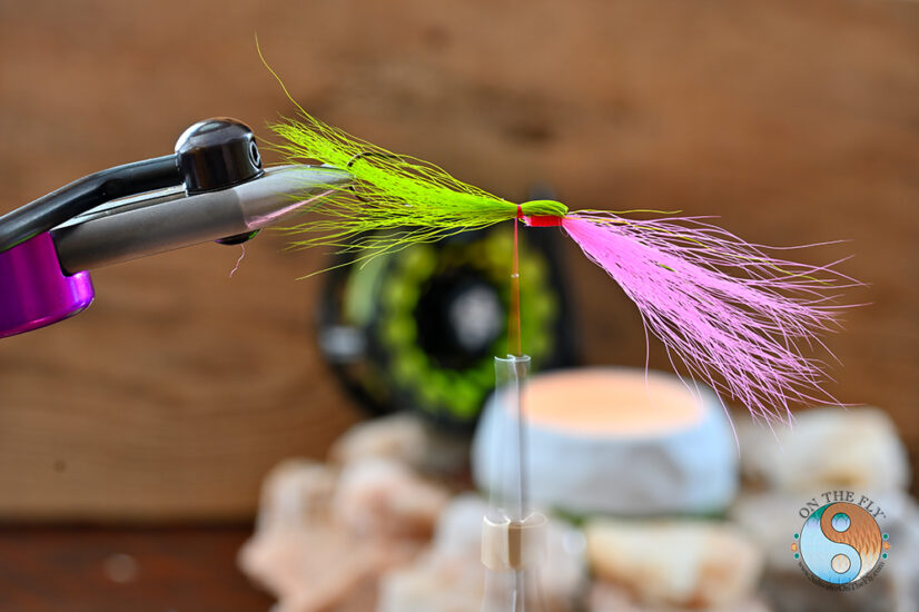 Fold the Chartreuse Bucktail back and tie off creating a half a bullet head and body