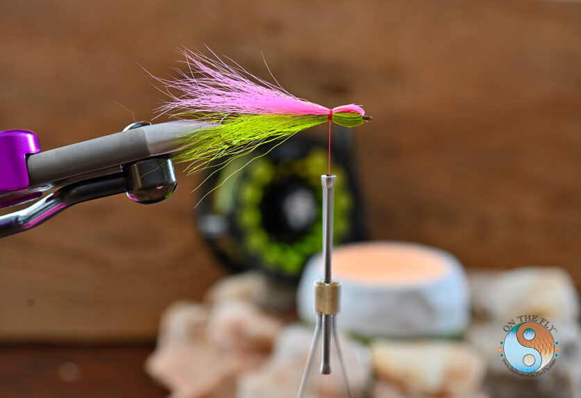 Roll the vise over and tie down the Fluorescent Pink Bucktail creating the minnow profile.