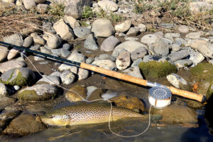 Season's of the Yellowstone River