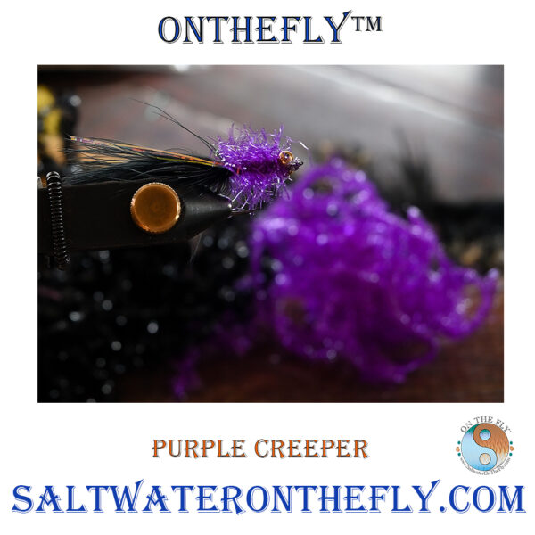 Purple Creeper Great On Bass, Snook Creeper series is a great search pattern for several species on small baitfish around docks, other structures. Saltwater on the fly