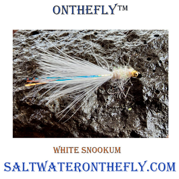 White Snookum fooling trout and saltwater species for literally seconds