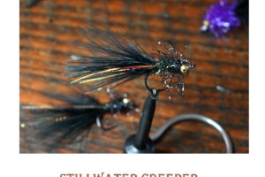 Saltwater on the fly Flies Stillwater Creeper Stillwater Creeper Black and Olive Saltwater on the fly