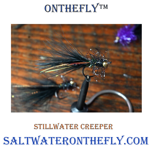 Stillwater Creeper Black and Olive Saltwater on the fly