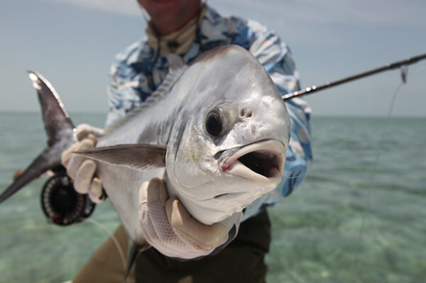 Fly Fishing in the Florida Keys, Where to Go and What to Use