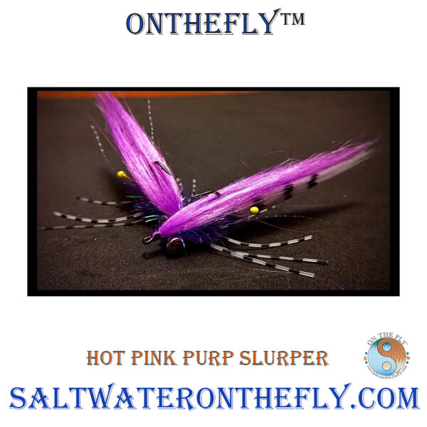 A Hungary Predator Cannot Resist a Hot Pink Purp Slurper  American Tied Hot Pink Purp Slurper is tied on Gamakatsu Hooks on Saltwater on the Fly