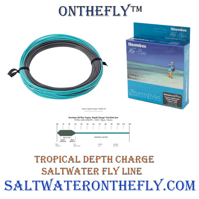 Saltwater Tropical Depth Charge Fly Line great for surf fly fishing