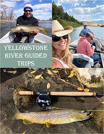 yellowstone guided trips