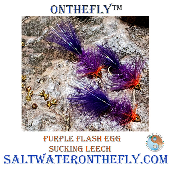 Purple Flash Egg Sucking Leech