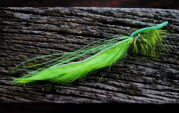 Chartreuse / White Rabbit Gurgler is 5 inches in Length