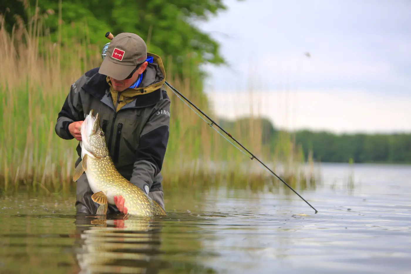 Fly Fish Denmark for Pike on a Fly