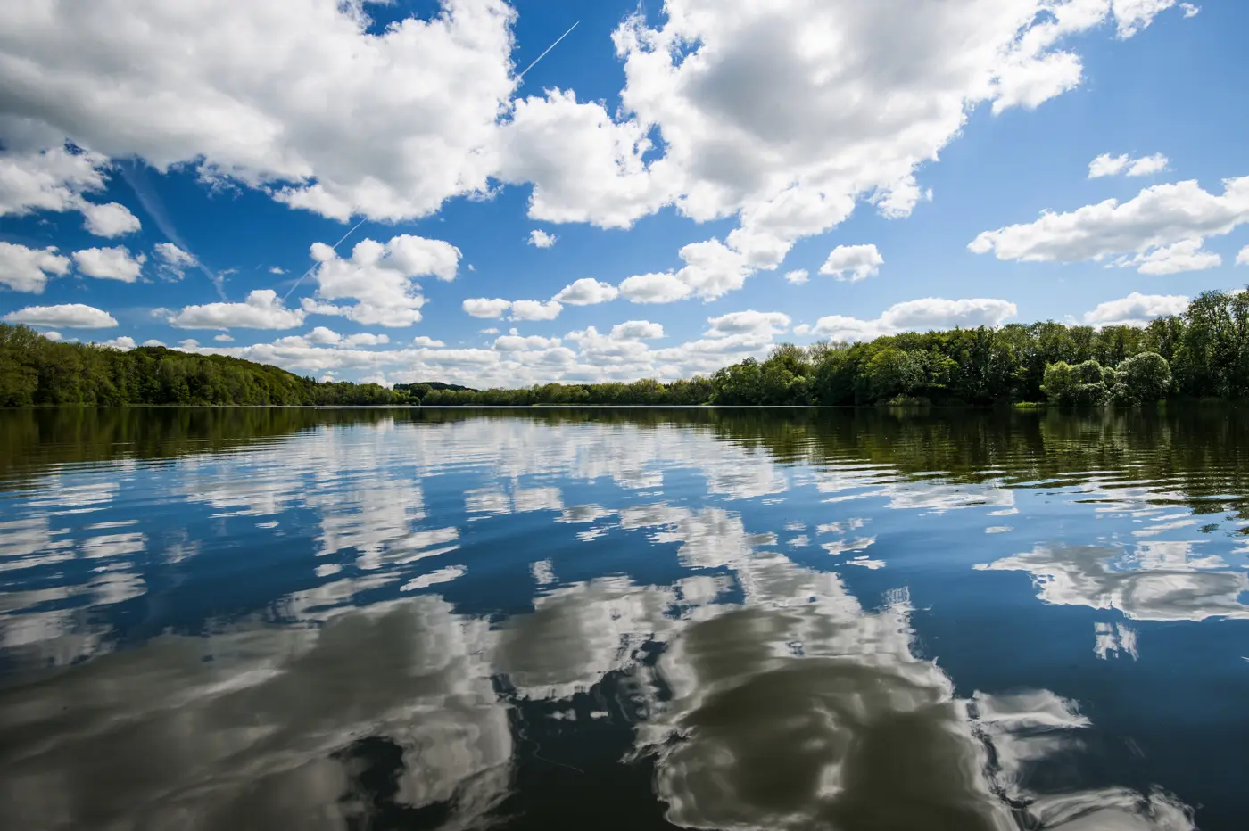 Pike fly fishing water in Denmark