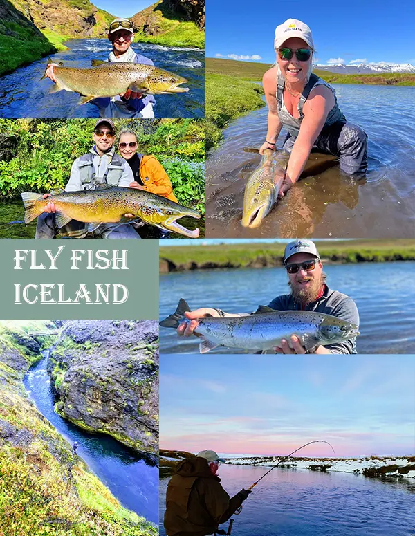 Fly Fish Iceland