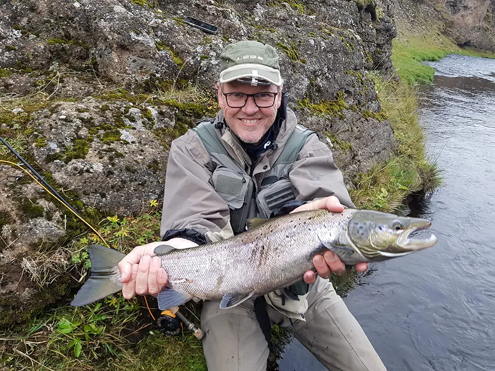 Iceland has good Atlantic Salmon runs 