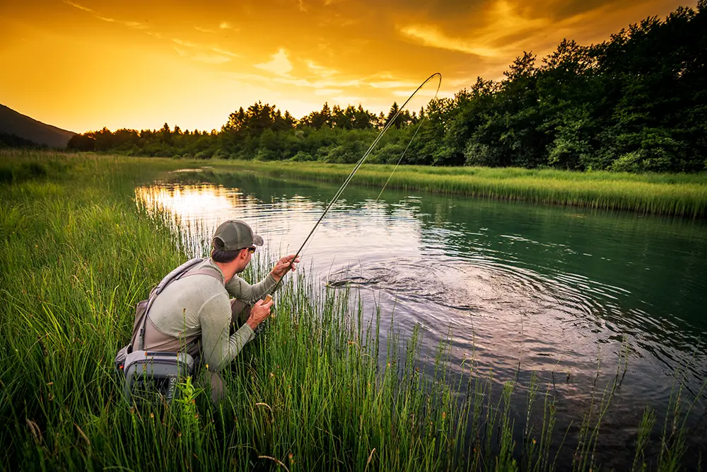 Fly Fishing for Pike in the shallow water along a bank