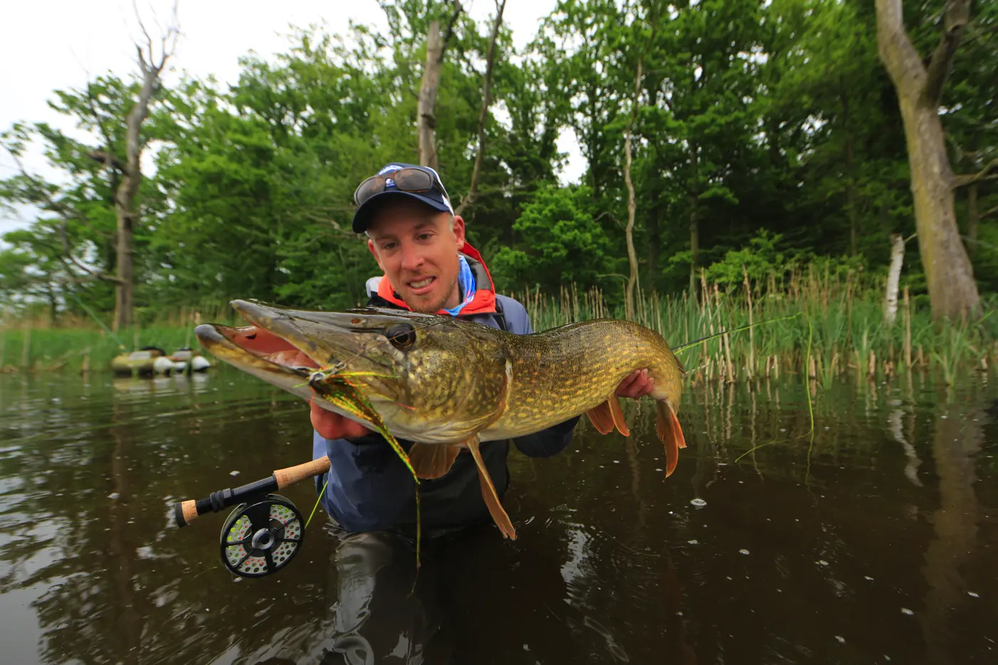 Learn to fly fish for pike from a guide in Denmark