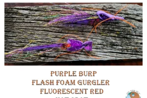 Purple burp flash foam gurgler feather tail Fluoroescent Red Hot Spot 1. 3 Purple burp flash foam gurgler feather tail Fluoroescent Red Hot Spot 1. 3