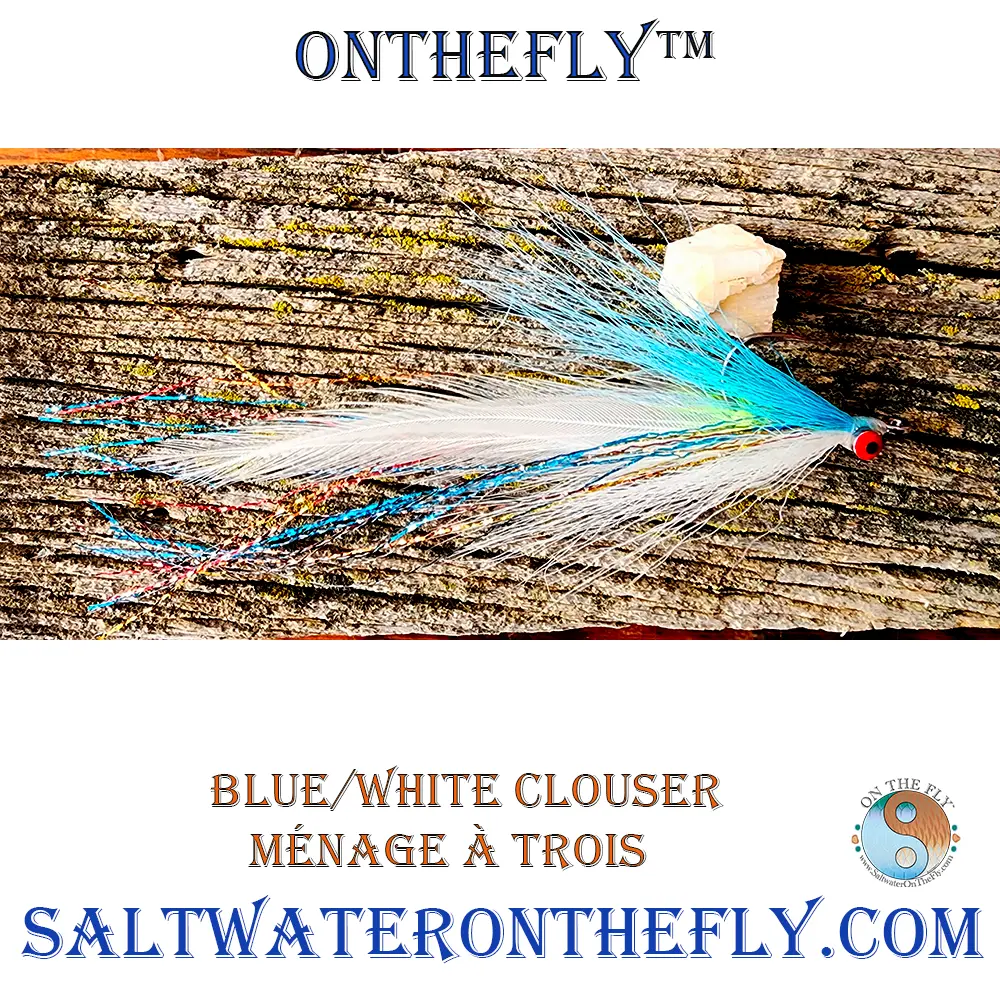 2/0 blue and white clouser minnow