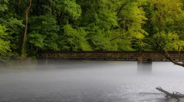 Fly fishing Tennessee for bass and trout the 19 best spots. Learn pro tips, local secrets, and elevate your angling experience.
