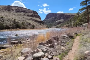 We floated and spend a couple of days wade fly fishing. It was April