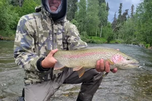 Alaska Wild Rainbow