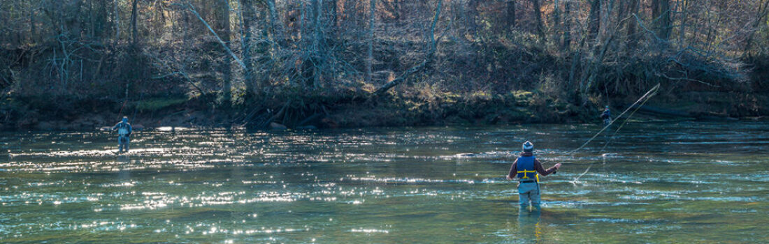 An angling adventure to explore Georgia's best fly fishing rivers, teeming with trophy trout and breathtaking scenery.