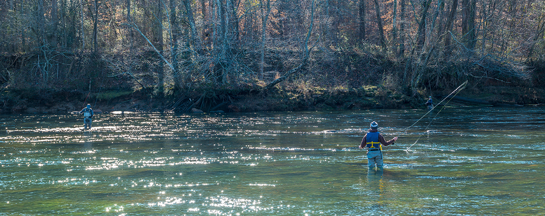 An angling adventure to explore Georgia's best fly fishing rivers, teeming with trophy trout and breathtaking scenery.