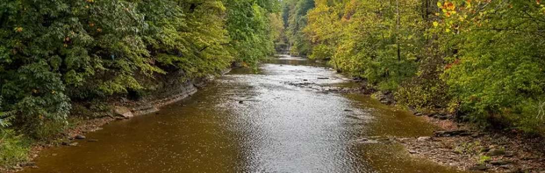 Fly Fish Ohio for trout, steelhead, bass and pike with our expert guide service. Uncover local secrets and gear tips!