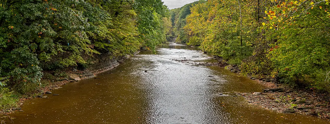 Fly Fish Ohio for trout, steelhead, bass and pike with our expert guide service. Uncover local secrets and gear tips!