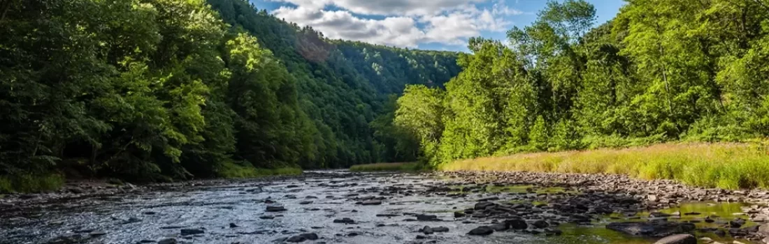 Fly Fish Pennsylvania's lush landscapes, where trophy trout abound and adventure awaits every cast. Explore