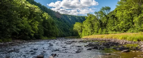 Fly Fish Pennsylvania's lush landscapes, where trophy trout abound and adventure awaits every cast. Explore