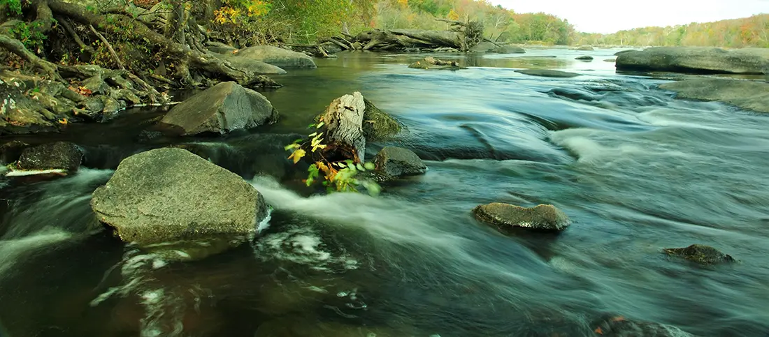 Fly Fish Virginia for trout, bass, muskie, and coastal striped bass in picturesque waters teeming with predators. Virginia Fly Fishing