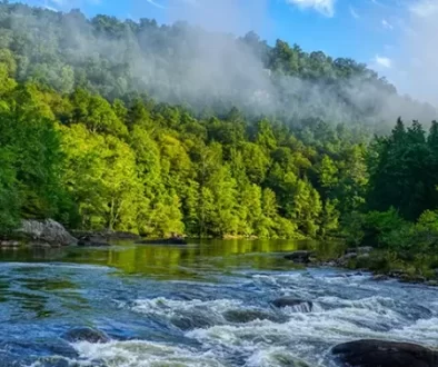 Fly Fish West Virginia, best fly fishing rivers, where crystal-clear waters offer unparalleled trout fishing and scenic splendor. Join us!