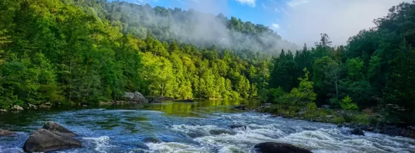 Fly Fish West Virginia, best fly fishing rivers, where crystal-clear waters offer unparalleled trout fishing and scenic splendor. Join us!