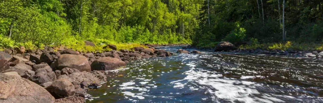 Fly Fish Wisconsin, where pristine waters and abundant trout promise an unforgettable angling adventure. Trout, Muskie, Steelhead and more