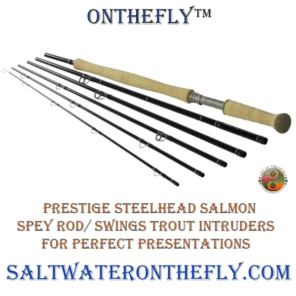 Steelhead Salmon 13ft Spey Rod