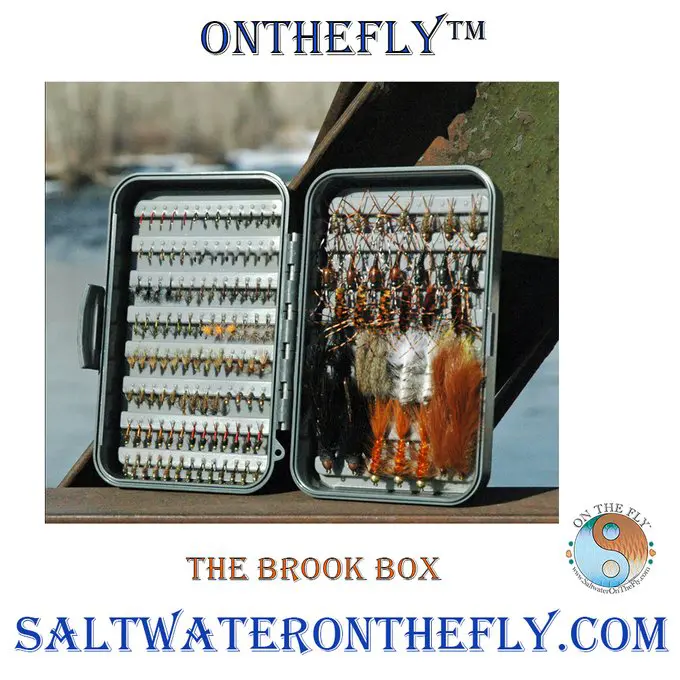 Best fly box on the market a brook box on saltwater on the fly