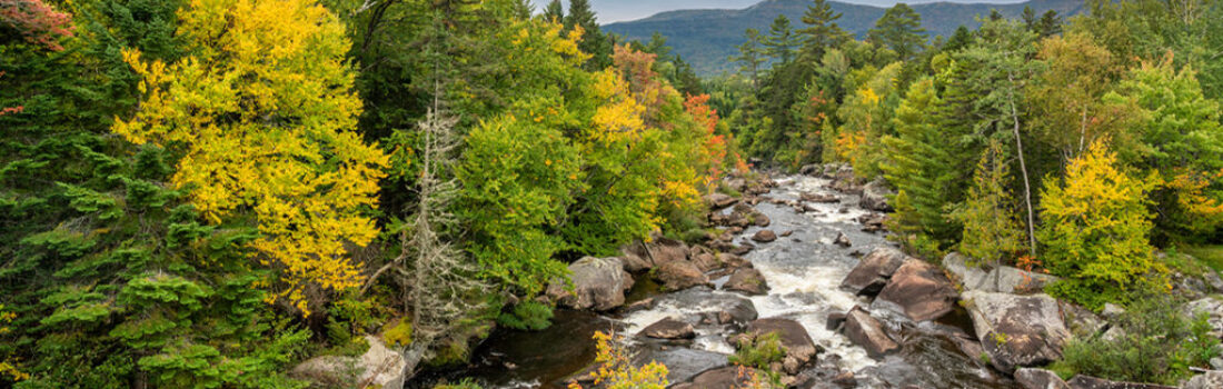 Fly fish Maine's pristine rivers and lakes, teeming with brook trout and salmon – your ultimate angling journey awaits! Maine Fly Fishing
