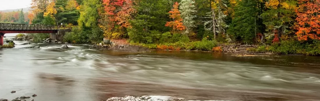 Fly fish New Hampshire, from pristine rivers to scenic lakes, perfect for every angler's adventure. Discover the Best Place for Fly Fishing