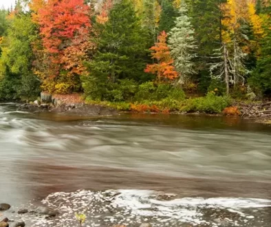 Fly fish New Hampshire, from pristine rivers to scenic lakes, perfect for every angler's adventure. Discover the Best Place for Fly Fishing