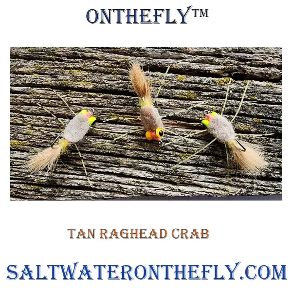Tan Raghead Crab