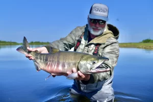 Salmon Alaska with saltwater on the fly ATA lodge