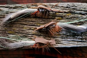Gurgler, bass, pike and muskie fly pattern saltwater on the fly