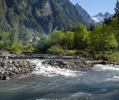 Our guide to DIY Washington State Fly Fishing: Trout, and Steelhead. Explore the Olympic Peninsula and the Cascade's for Trout and Steelhead